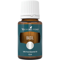 young living basilikum