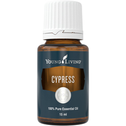 young living zypresse